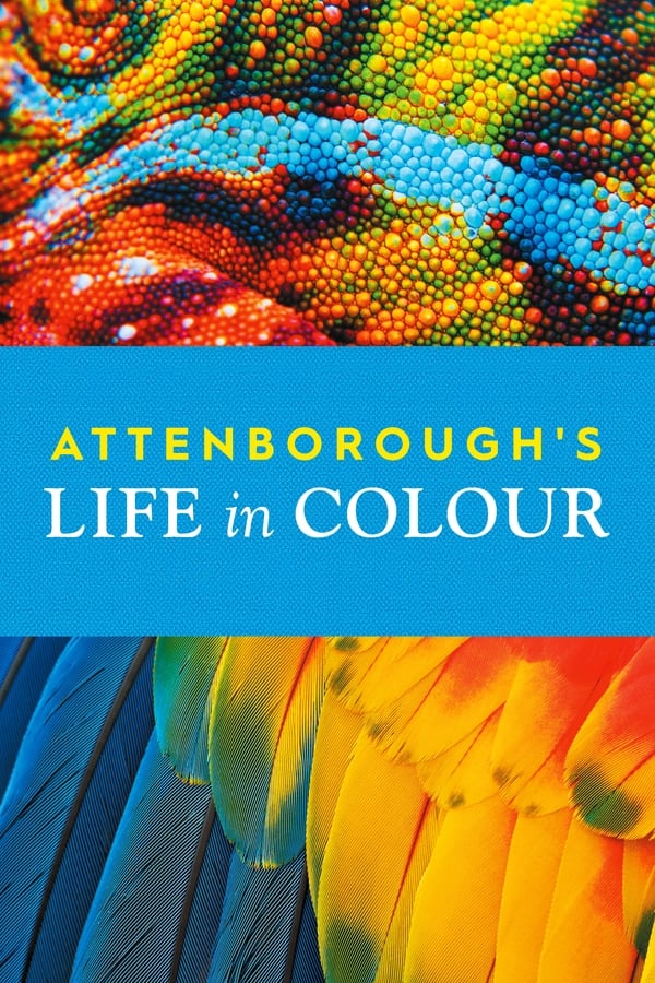 Attenboroughs Leben in Farbe