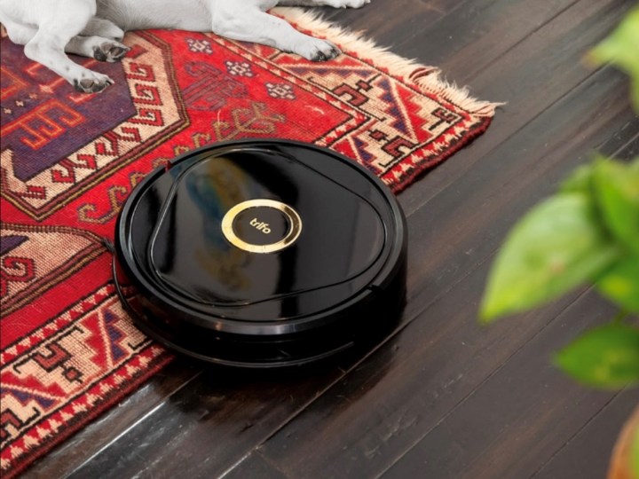 Trifo Lucy Robot Vacuum Cleaner tidying up floor with rug.