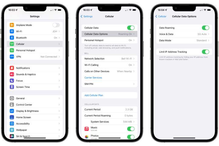 how to check data usage on an iphone cellular roaming settings