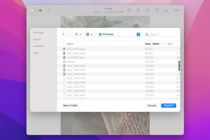 پنجره صادرات برای برنامه Photos در Mac.