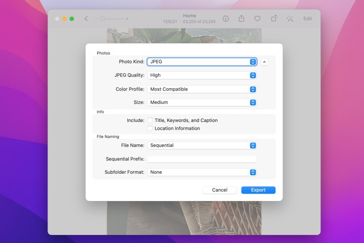 Export settings for JPEG in the Photos app.