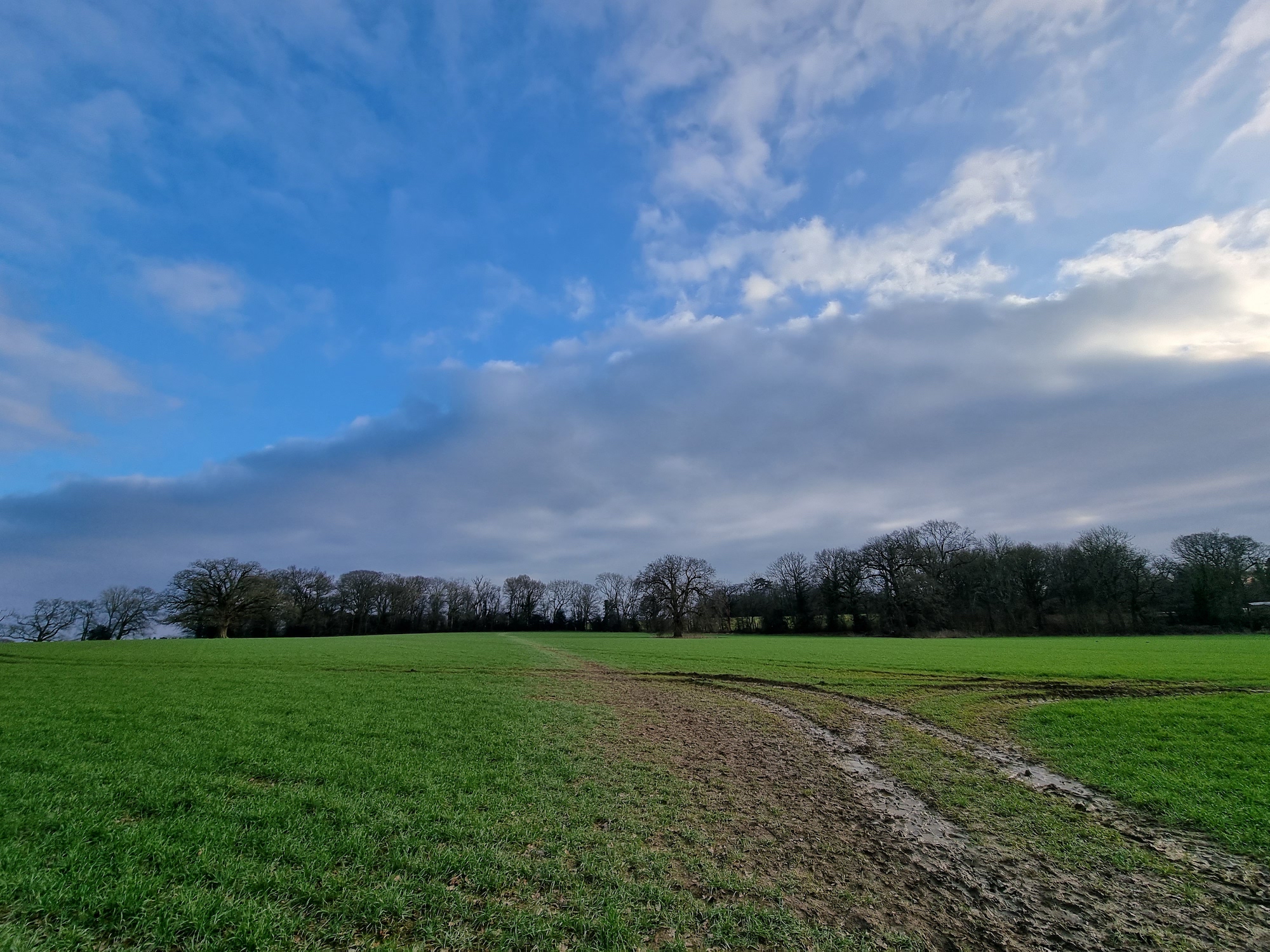 Galaxy S21 Ultra wide-angle photo of a field.
