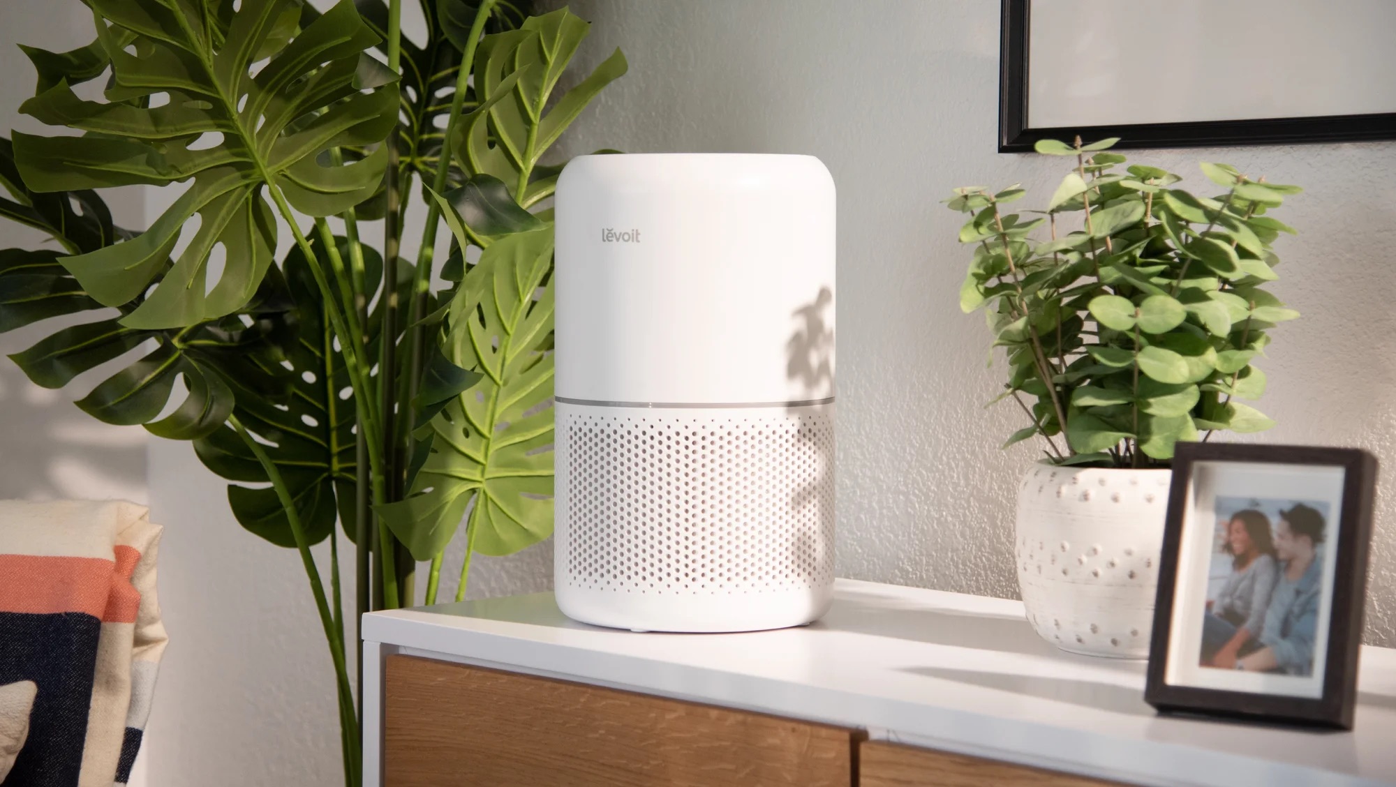 The Best Air Purifiers for Mold, Selected by Experts - Vimarsana News