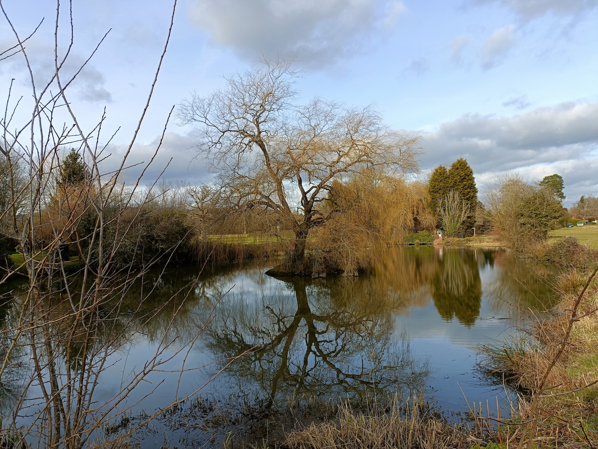 OnePlus Nord CE 2 5G photo of a pond.