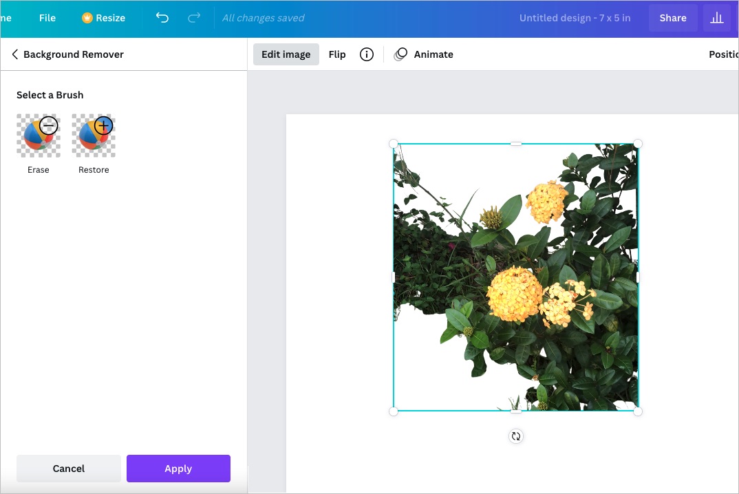 How to remove a picture background in Canva | Digital Trends