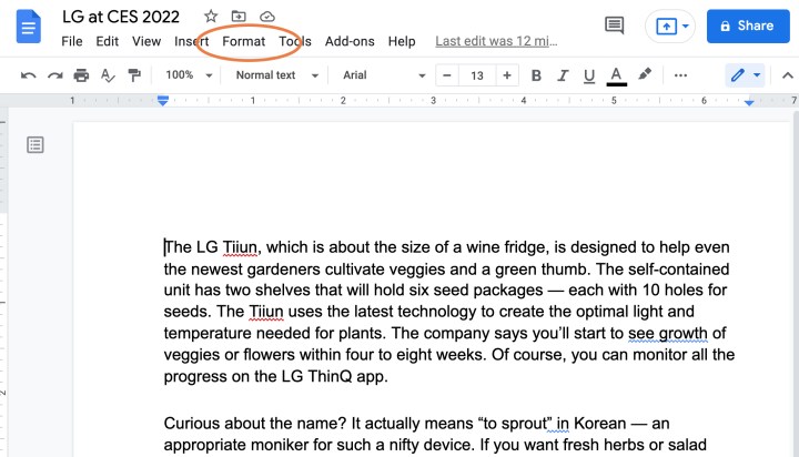 A document in Google Docs with the Format menu circled in red.