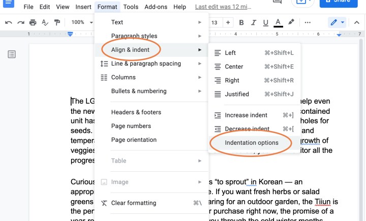 گزینه های تورفتگی در Google Docs ظاهر می شوند.