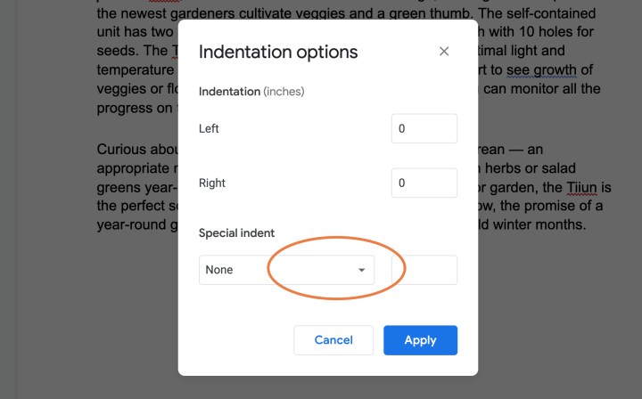 The Special Indent drop-down menu is circled in Google Docs.
