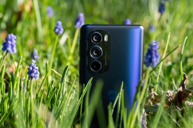 Motorola Edge+ (2022) in a patch of bluebell flowers.