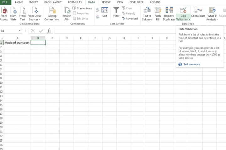 The Data Validation button on Microsoft Excel.