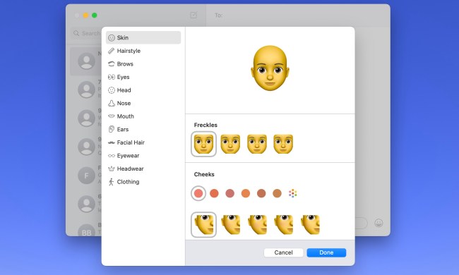 Memoji creation screen in Messages on Mac.