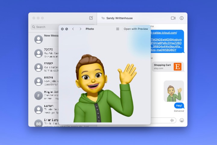 Memoji in full view in Messages on Mac.