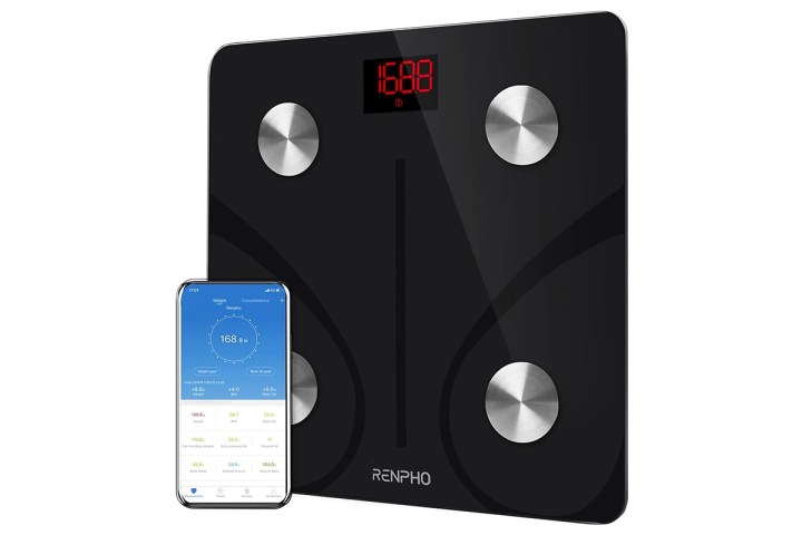 The Renpho digital body fat scale is versatile, smart, and affordable.