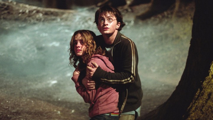 Harry Potter e il prigioniero di Azkaban (2004), regia di Alfonso Cuarón