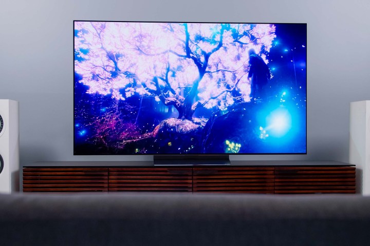 A glowing blue and purple tree on the LG C2 OLED.