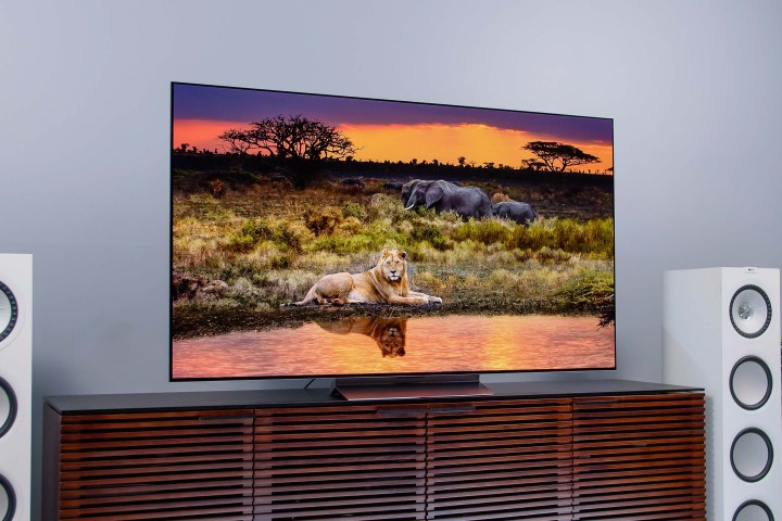 An African landscape on the LG C2 OLED.