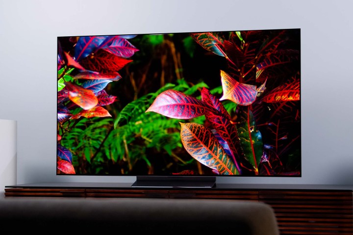 Изображение разноцветных листьев на экране LG C2 OLED.