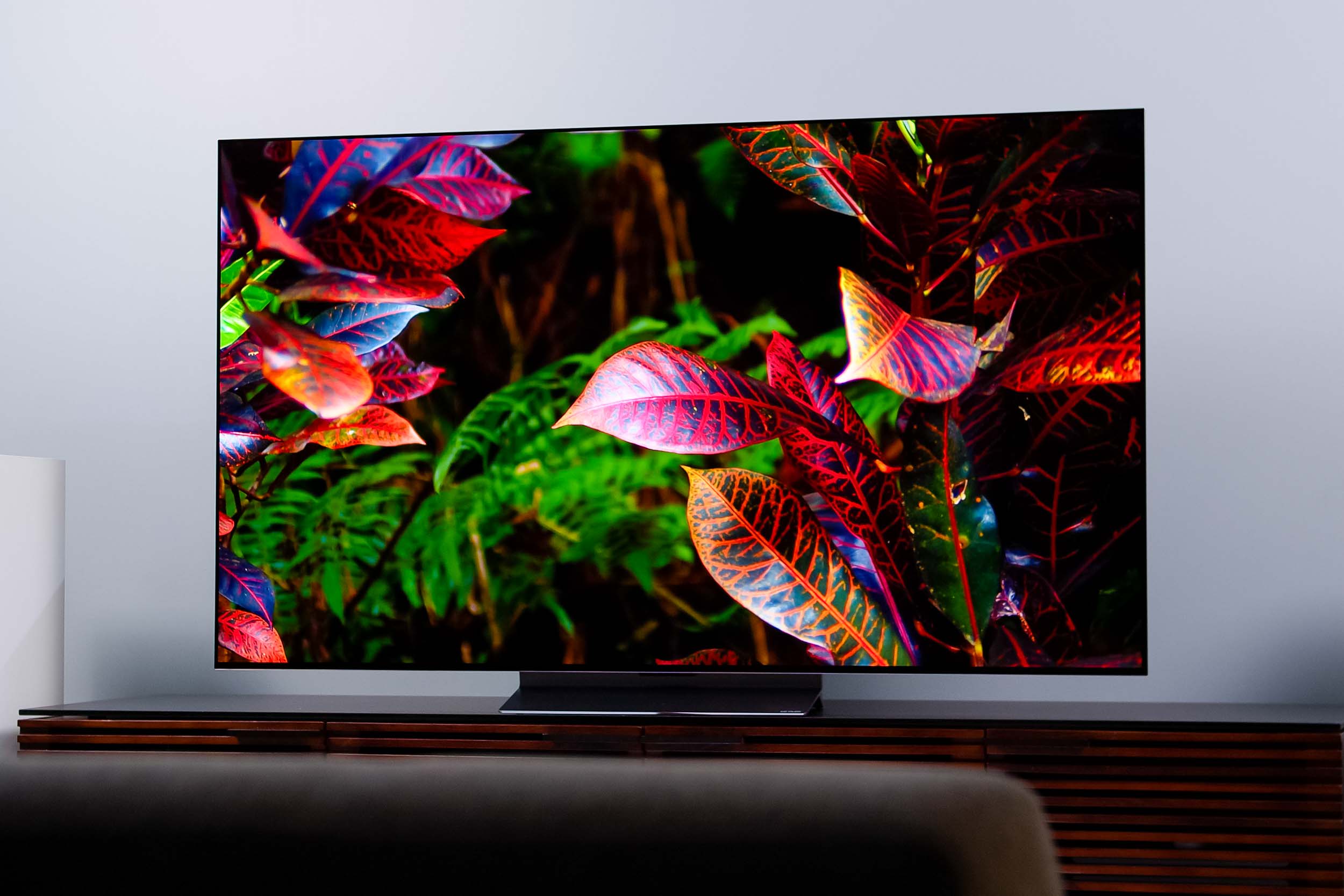 An image of colorful leaves on the LG C2 OLED.