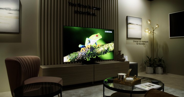 Samsung S95B OLED TV with bright of a tree frog image on-screen.