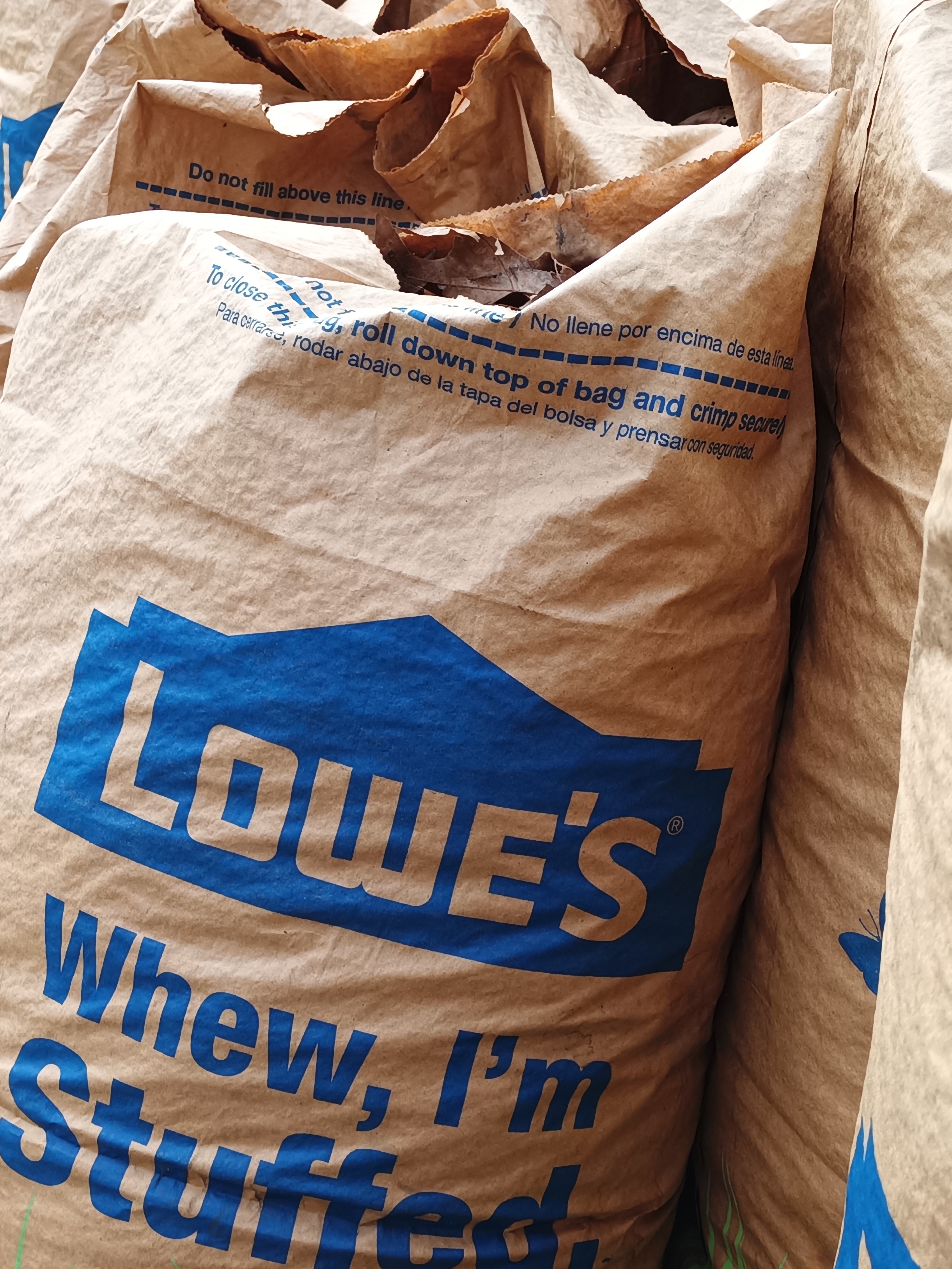 Leaf bags from Lowes