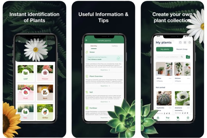 The Best Gardening Apps For 2022