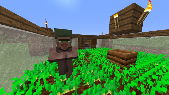 A villager standing in a farm.