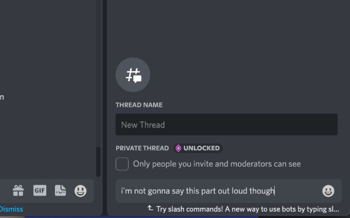 Text in a Discord Message.