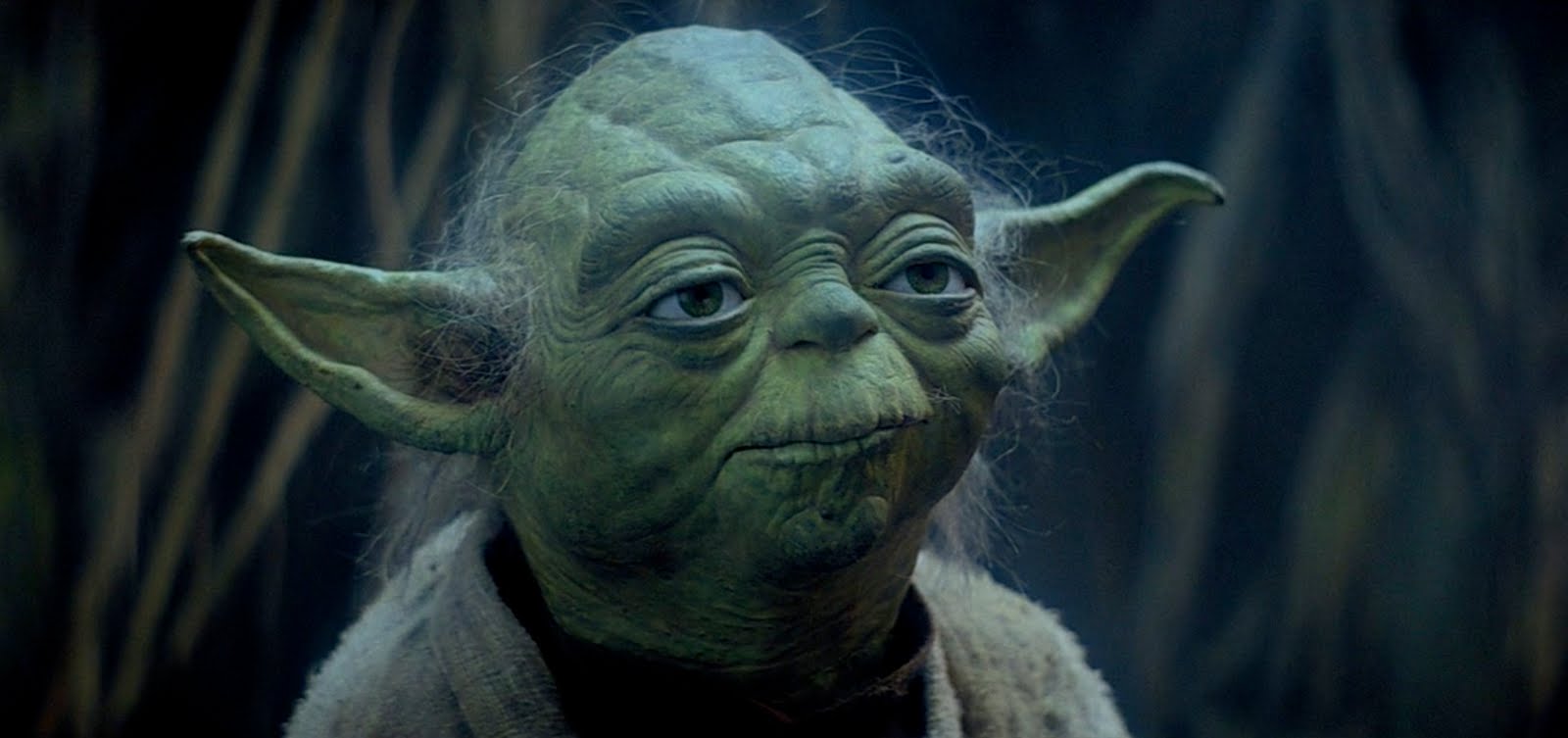 Yoda nhìn về phía trước trong một cảnh trong Star Wars: Episode V - The Empire Strikes Back