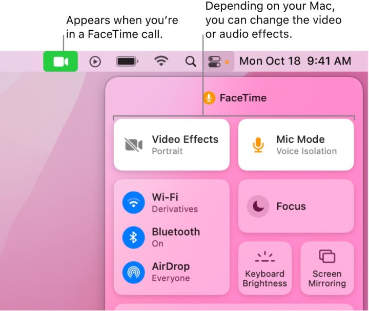 Voice isolation settings in MacOS.