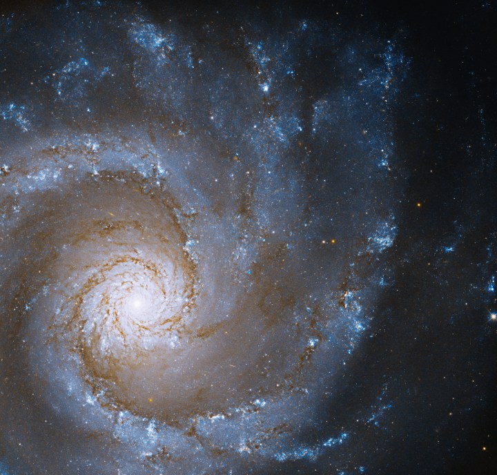 Hubble captura una imagen de una espiral de diseño grande con forma perfecta