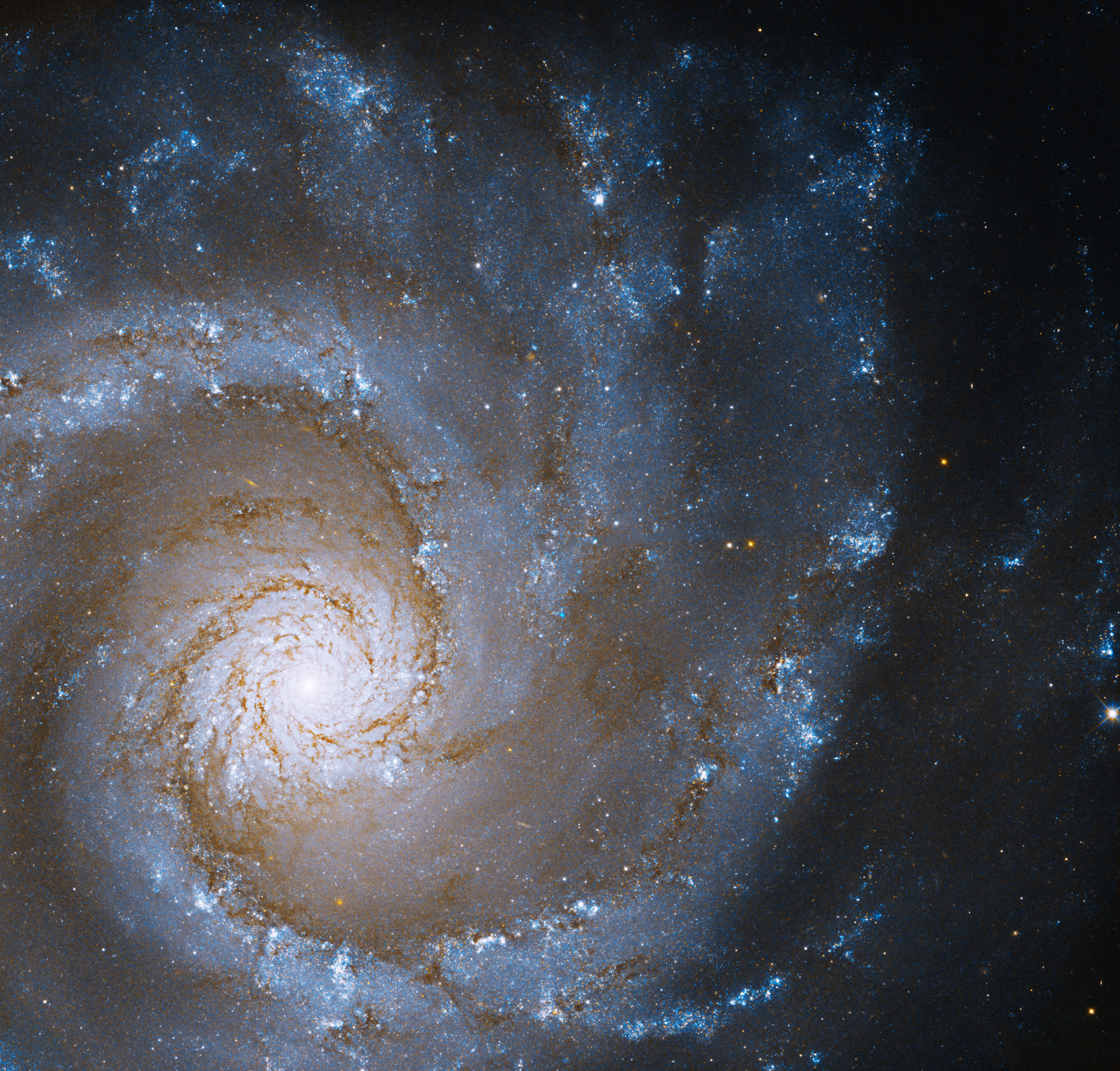 Hubble captures a perfectly formed Grand Design Spiral