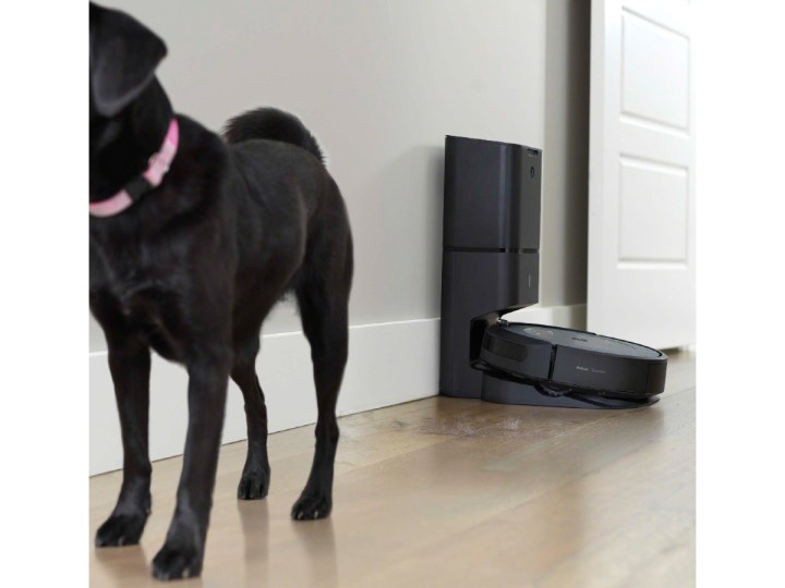 iRobot Roomba i3+ EVO (3550) Wi-Fi connected self-emptying robot vacuum co-existing with a black Lab.
