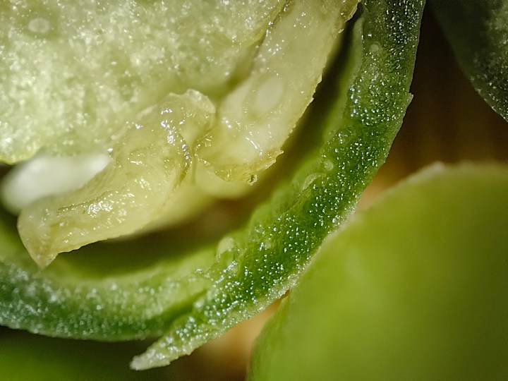 Vista macro di un peperoncino verde fotografato con la fotocamera del microscopio di Realme GT 2 Pro.