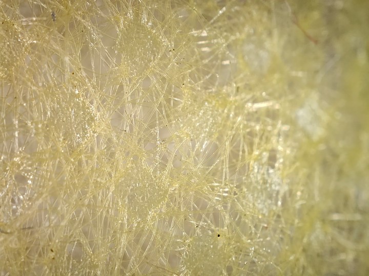 Macro vista delle fibre in una maschera chirurgica in poliestere giallo fotografata con la fotocamera del microscopio di Realme GT 2 Pro.