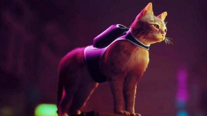 El gato protagonista de Stray de pie frente a una ciudad iluminada de neón.