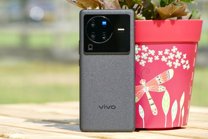 Il Vivo X80 Pro visto da dietro, appoggiato a un vaso di fiori.