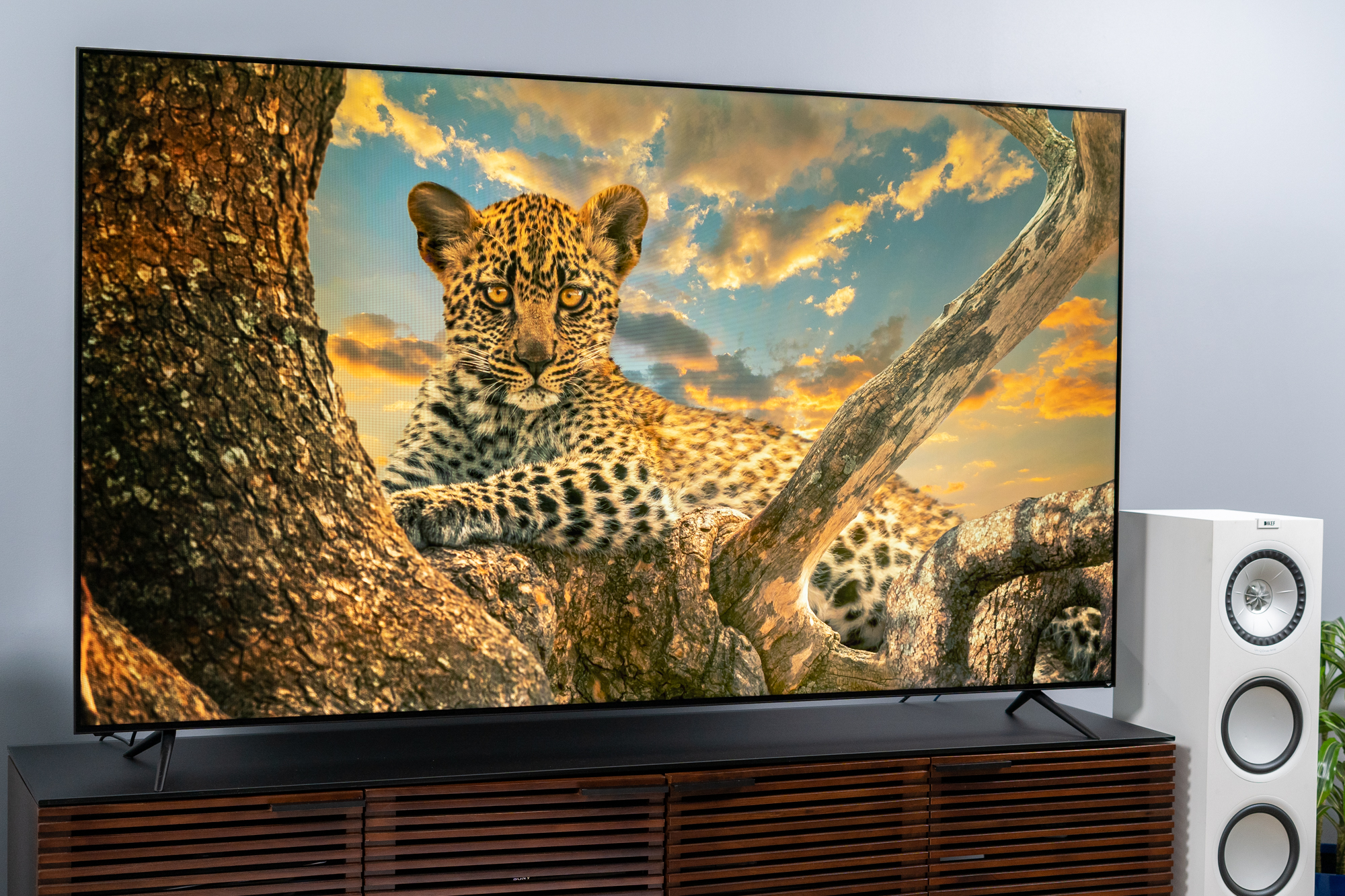 This Vizio 75-inch QLED 4K TV is $800 off at Amazon for Prime Day - Vimarsana News