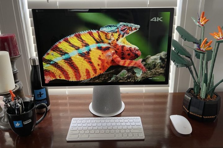 Watch a nature video using the display on the HP Chromebase.