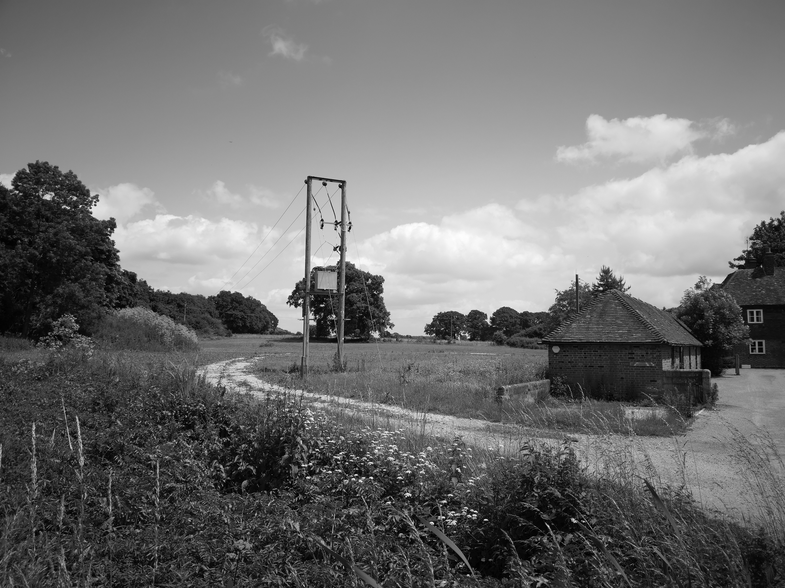 A monochrome photos of a field, taken with the Huawei P20 Pro.