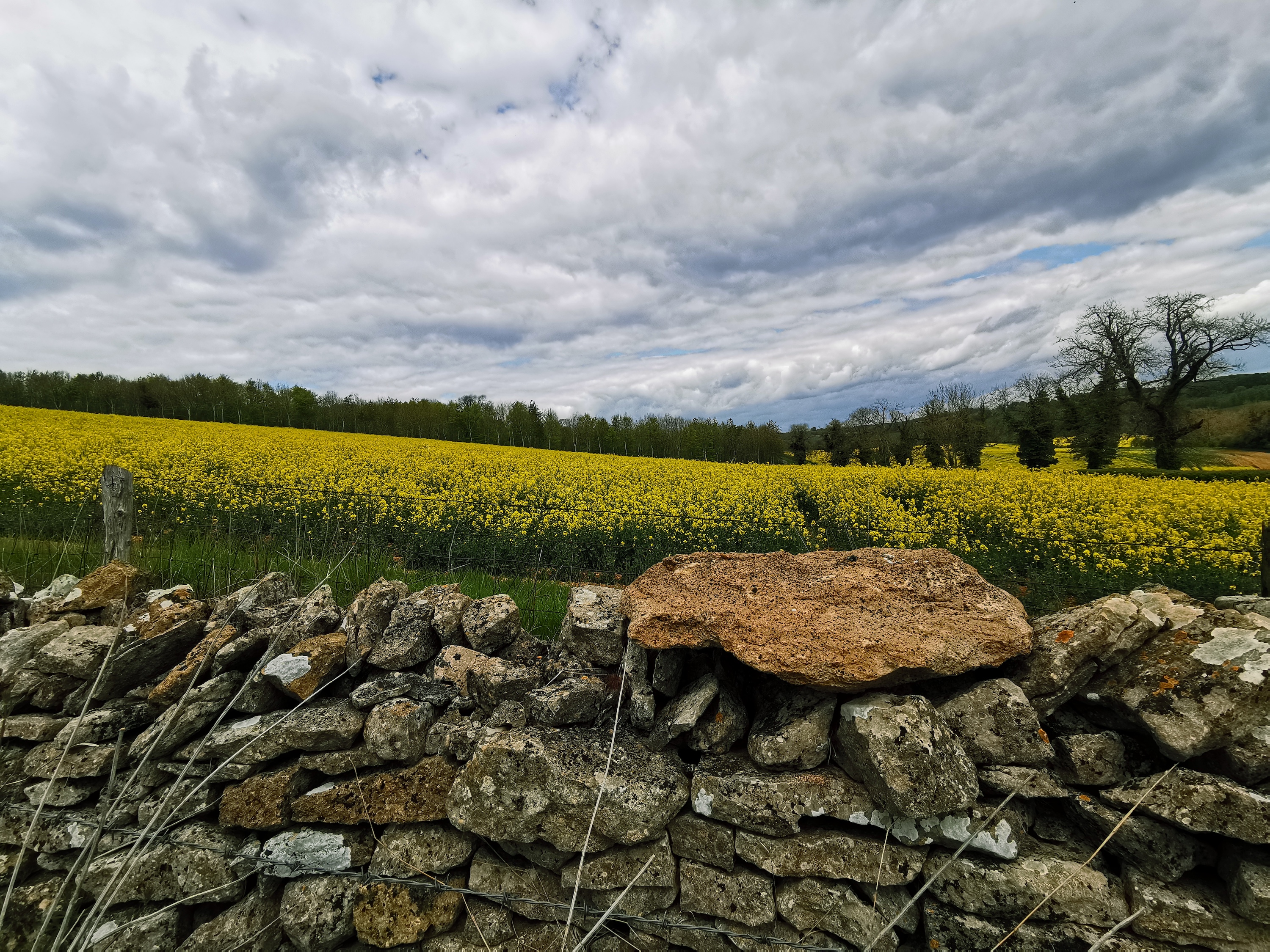 A countryside scene taken with the Huawei P30 Pro.