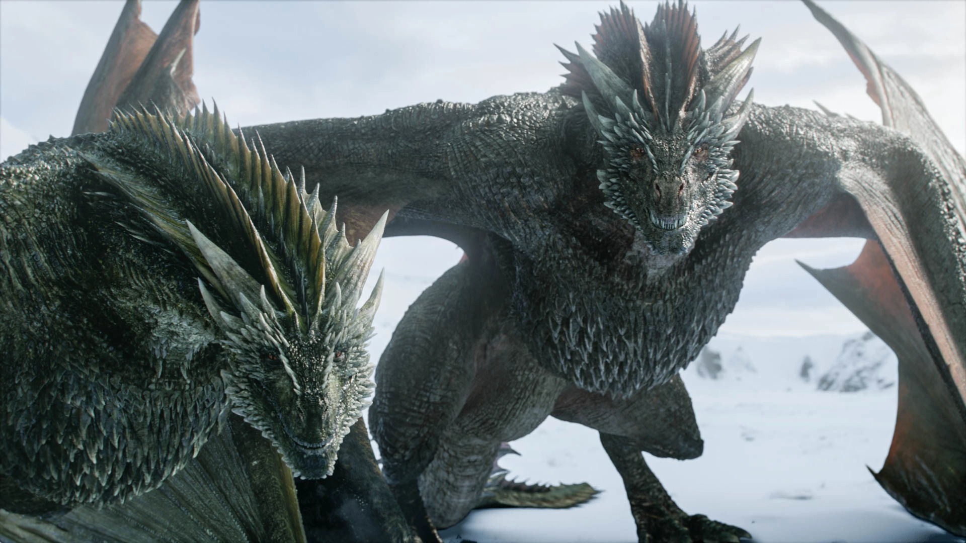 Los dragones de Daenerys, Rhaegal y Drogon, en la octava temporada de Game of Thrones.