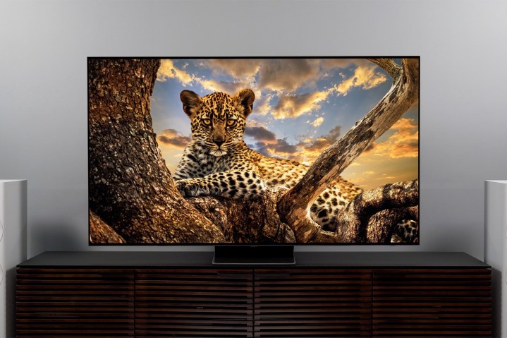 A Samsung S95B OLED 4K Smart TV sits on a table with a cheetah on this screen.