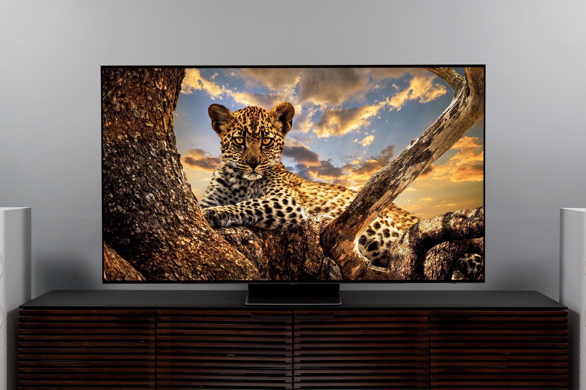 Un televisor inteligente Samsung S95B OLED 4K sobre una mesa con un guepardo en esta pantalla.