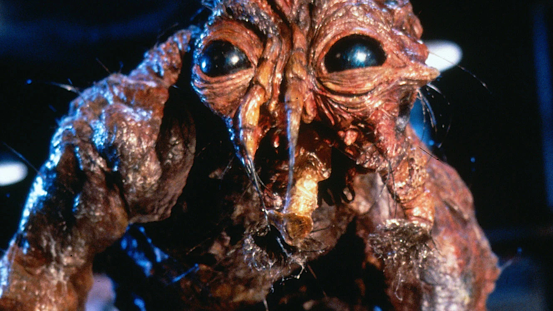 The Brundlefly in "The Fly" (1986).