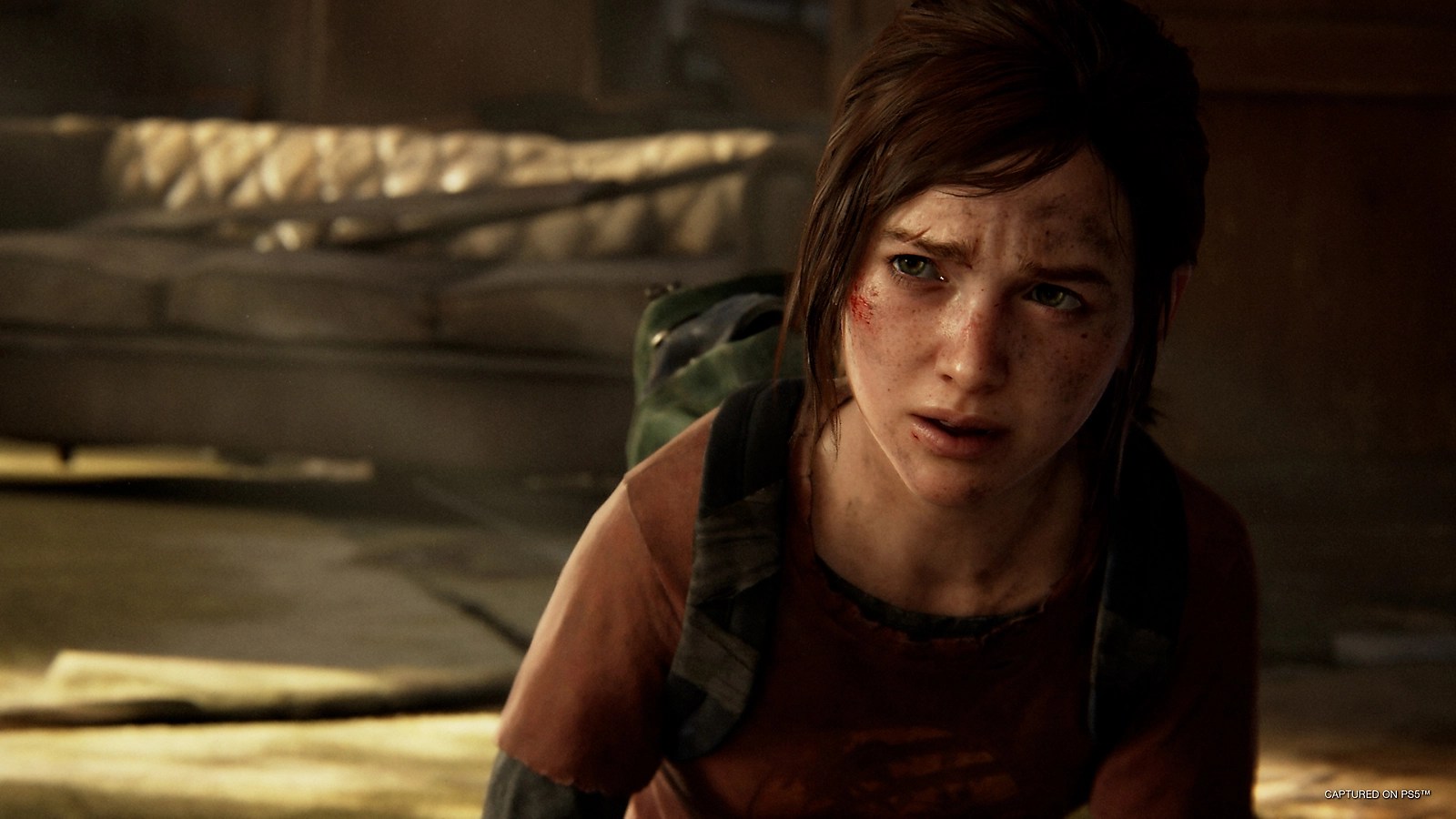The Last of Us PC port gets a GPU requirement downgrade - and