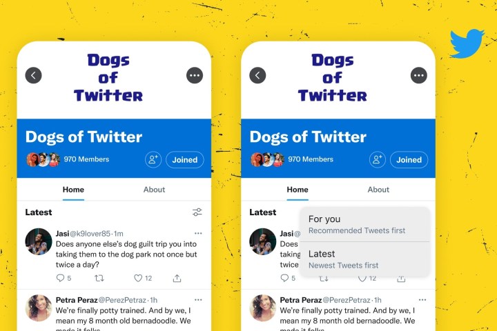 Two Twitter Communities mobile screenshots on a yellow background.