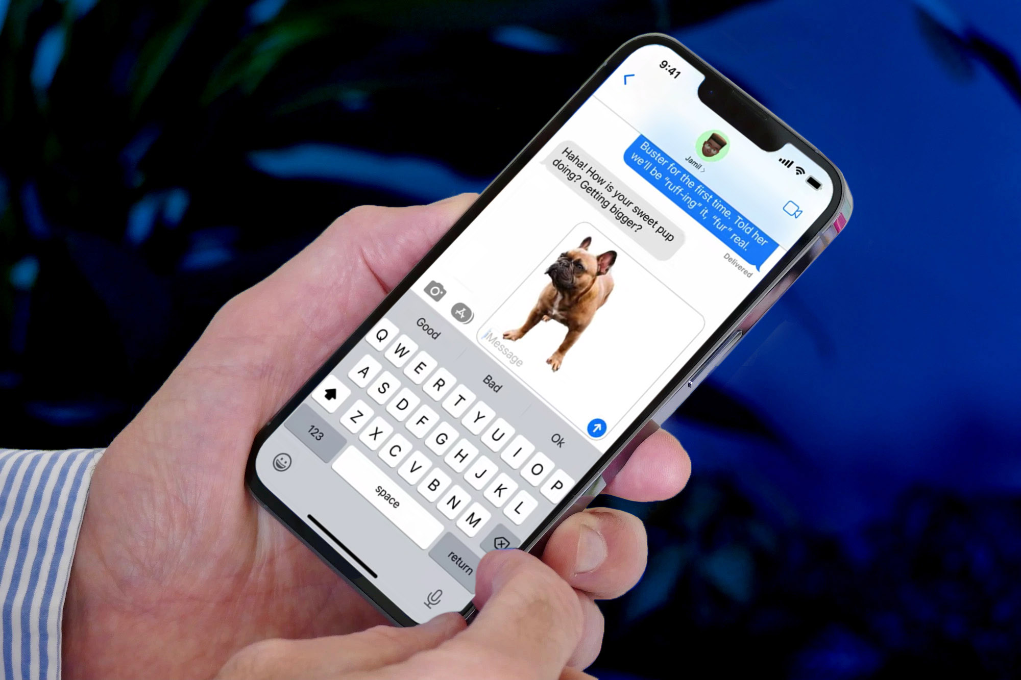 ویژگی حذف پس‌زمینه تصویر iOS 16 روی عکس یک سگ استفاده می‌شود.