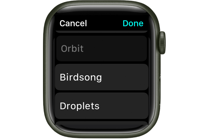 The Apple Watch has several alarm options.