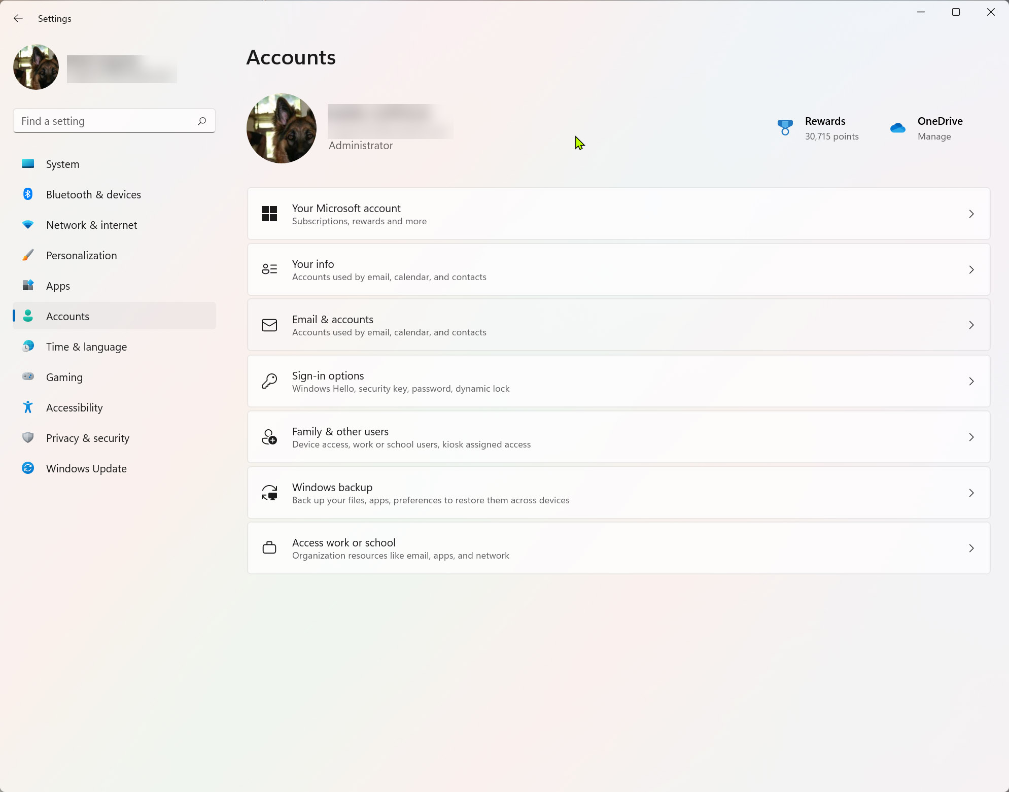 Screenshot showing Accounts settings on Windows 11.