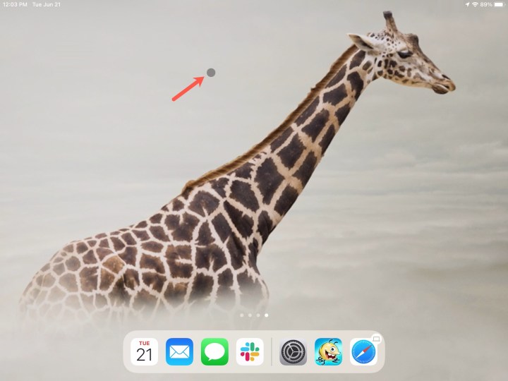 Cursor displayed as a dot on iPad.